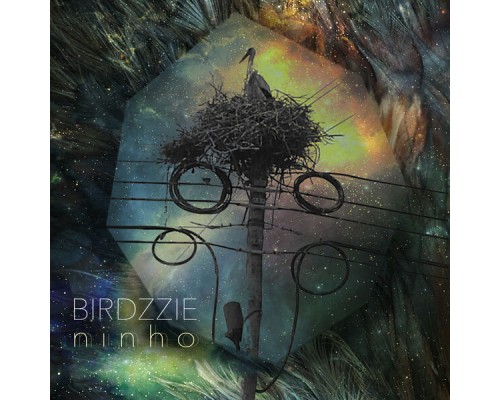 Birdzzie - Ninho