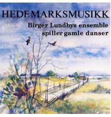 Birger Lundbys ensemble - Hedemarksmusikk