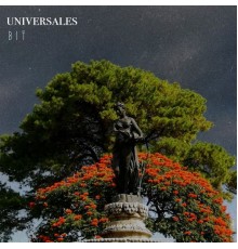 Bit - Universales