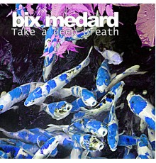 Bix Medard - Take A Deep Breath