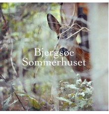 Bjergsøe - Sommerhuset