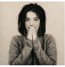 Bjork - Debut