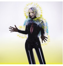 Bjork - Vulnicura