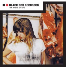 Black Box Recorder - The Facts Of Life