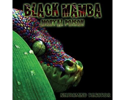 Black Mamba - Mortal Poison