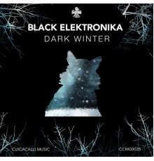 Black elektronika - Dark Winter