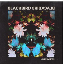 Blackbird Blackbird - Love Unlimited