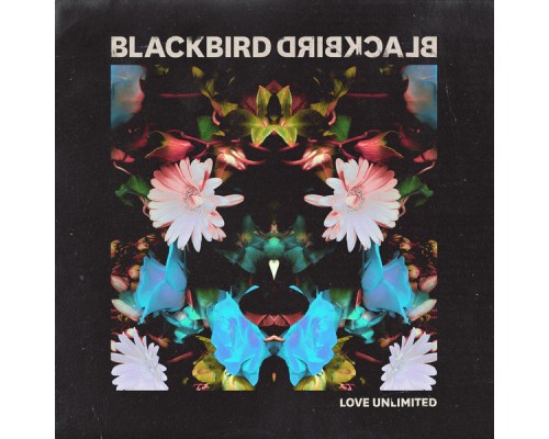 Blackbird Blackbird - Love Unlimited