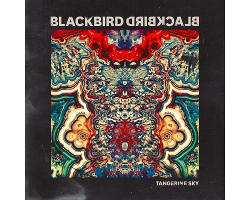 Blackbird Blackbird - Tangerine Sky