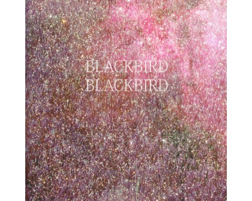 Blackbird Blackbird - Summer Heart