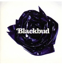 Blackbud - Blackbud