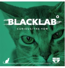 Blacklab - Curious / The Vow