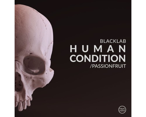 Blacklab - Human Condition