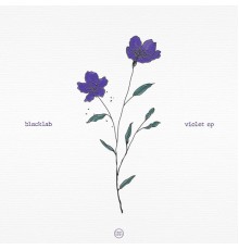 Blacklab - Violet