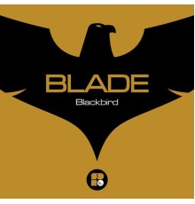 Blade (Dnb) - Blackbird (Original Mix)