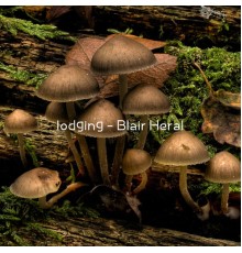 Blair Heral - lodging