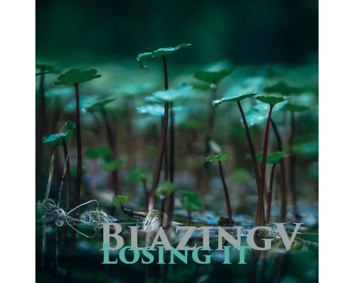 BlazingV - Losing It