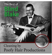 Blind Blake - The Best of Blind Blake