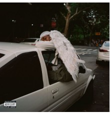 Blood Orange - Negro Swan