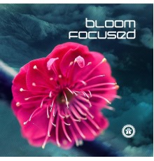 Bloom Focused - Bloom Focused