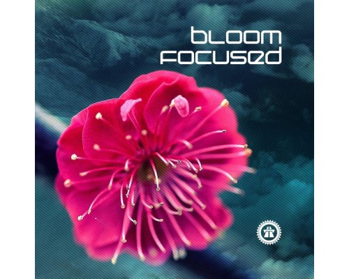 Bloom Focused - Bloom Focused