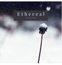 Blossom - Ethereal