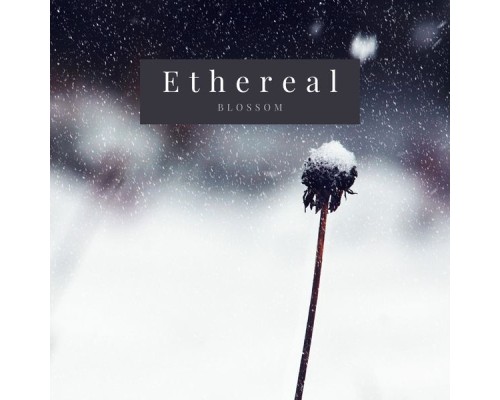 Blossom - Ethereal