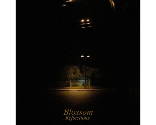 Blossom - Reflections