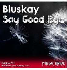 BluSkay - Say Good Bye
