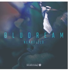 Bludream - Nearfield Ep (Original Mix)