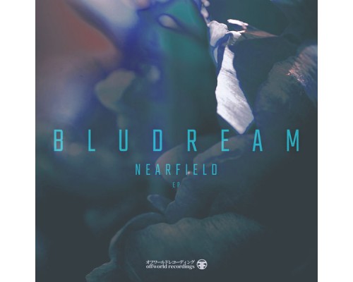 Bludream - Nearfield Ep (Original Mix)