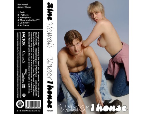 Blue Hawaii - Under 1 House