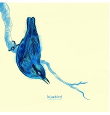 Bluebird - Bluebird