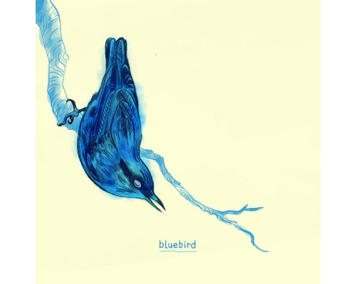 Bluebird - Bluebird