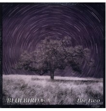 Bluebird - The Two