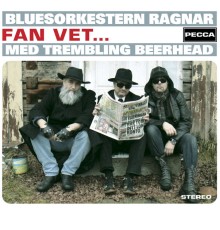 Bluesorkestern Ragnar - Fan Vet