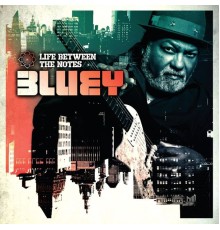 Bluey - Life Between the Notes