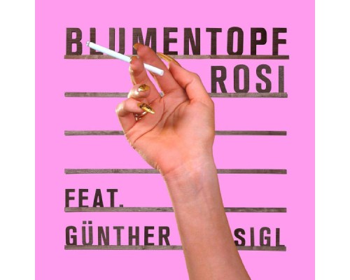 Blumentopf - Rosi