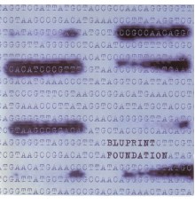 Bluprint - Foundation