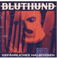 Bluthund - Gefährliches Halbdissen