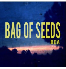 Boa - Bag of Seeds