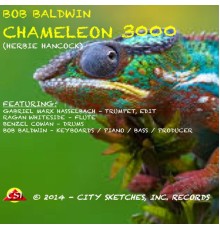 Bob Baldwin - Chameleon 3000