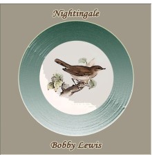 Bobby Lewis - Nightingale