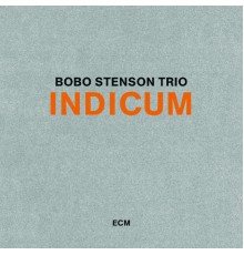 Bobo Stenson Trio - Indicum