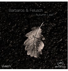 Bodo Felusch - Autumn Leaf