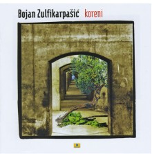 Bojan Zulfikarpasic - Koreni