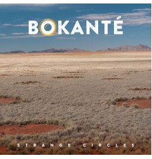 Bokanté - Strange Circles