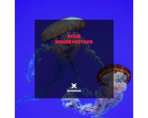 Bold - House Mistake