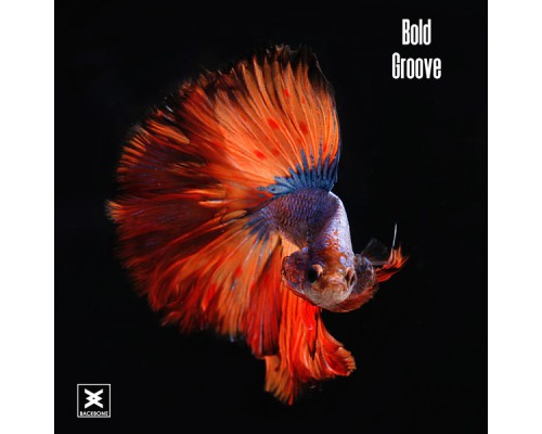 Bold - Groove