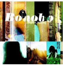 Bonobo - Animal Magic